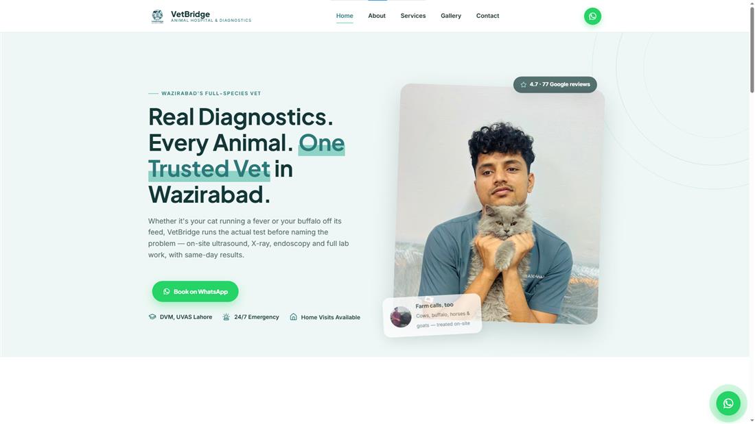 VetBridge Animal Hospital website homepage